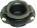 STRUT MOUNTING
